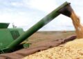 Agronegócio responde por 45,7% das exportações brasileiras e cresce 14% em junho
