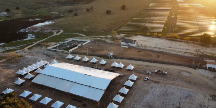 Pinheiros AgroShow 2026 amplia programação técnica com debates sobre inovação, gestão e tecnologia no campo