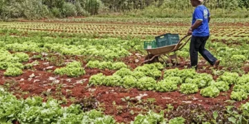 Funsaf-Rio Doce prorroga inscrições para projetos da agricultura familiar, pesca e aquicultura
